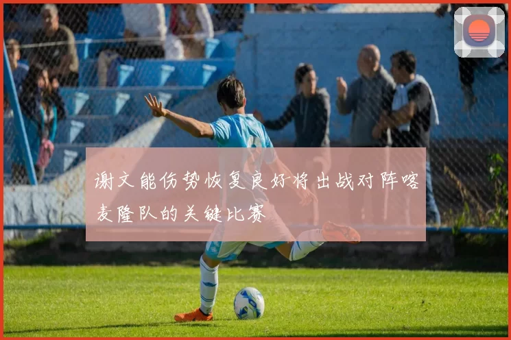 谢文能伤势恢复良好将出战对阵喀麦隆队的关键比赛