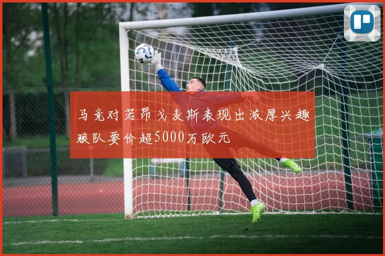 马竞对若昂戈麦斯表现出浓厚兴趣狼队要价超5000万欧元